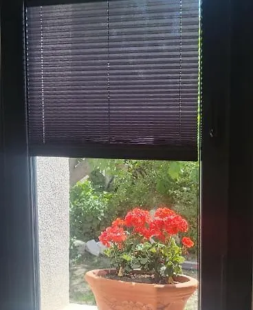 Picasso Homestay szállás Çeşme