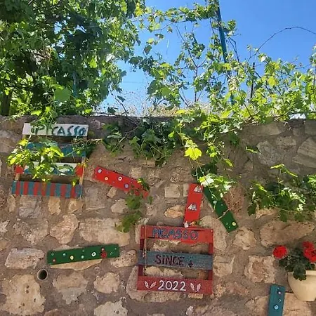 Picasso Проживание в семье