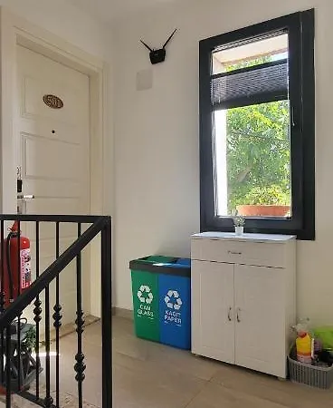 Picasso Проживание в семье *