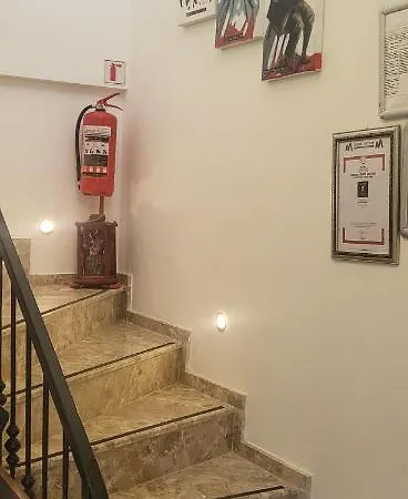 Проживание в семье Picasso