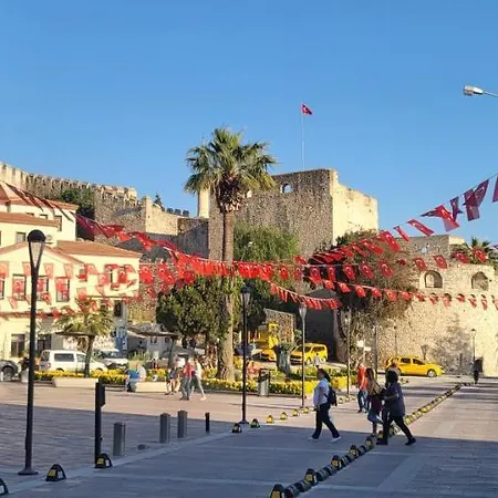 Picasso Проживание в семье *