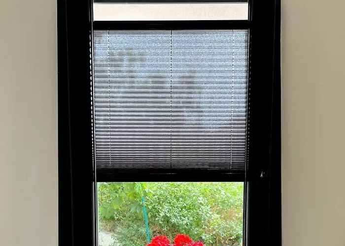 Picasso בית אירוח